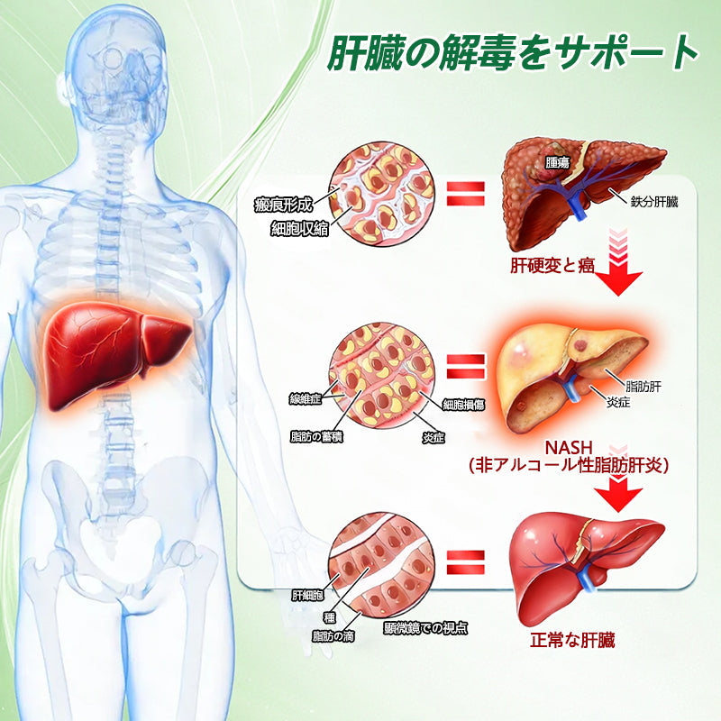 ✅✅ 公式旗艦店 /DR. Fachmer®＆NAD+ 10-in-1 ナノ強化フォーミュラ — 肥満、肌のたるみ、糖尿病、睡眠時無呼吸症候群、関節の悩み、その他健康上の懸念にアプローチ🌟