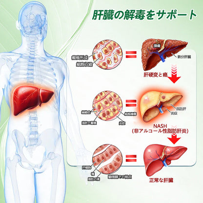 ✅✅ 公式旗艦店 /DR. Fachmer®＆NAD+ 10-in-1 ナノ強化フォーミュラ — 肥満、肌のたるみ、糖尿病、睡眠時無呼吸症候群、関節の悩み、その他健康上の懸念にアプローチ🌟