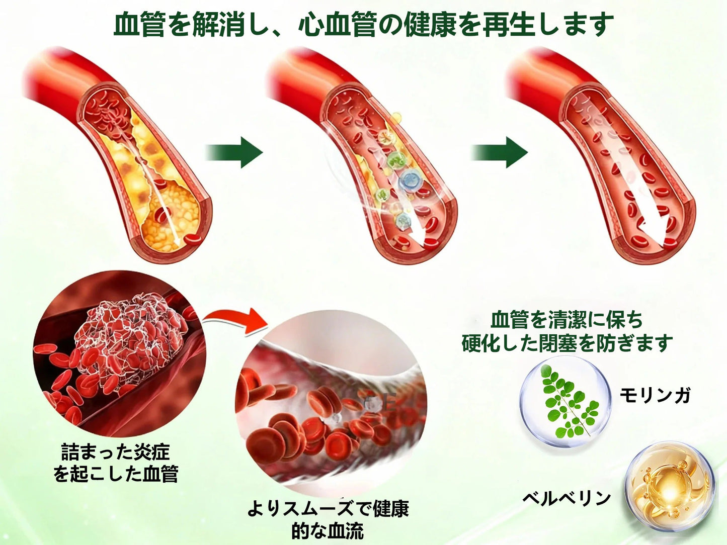 ✅✅ 公式旗艦店 /DR. Fachmer®＆NAD+ 10-in-1 ナノ強化フォーミュラ — 肥満、肌のたるみ、糖尿病、睡眠時無呼吸症候群、関節の悩み、その他健康上の懸念にアプローチ🌟